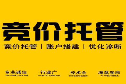 竞价推广SEM托管实战案例，揭秘高转化策略